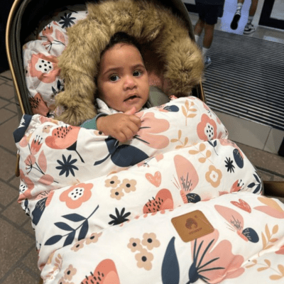 Chancelière | Boréalis